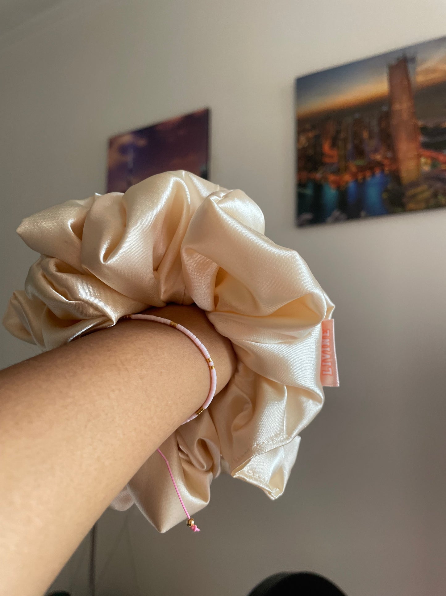 Scrunchies de Satin